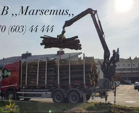 Malkos: gamyba, pristatymas - Beržo malkos rąstais su pristatymu – tik 50eur/m3-erdm - 4